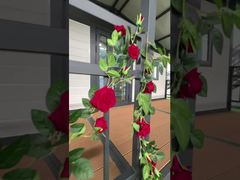 20ft Canopy nhà gấp